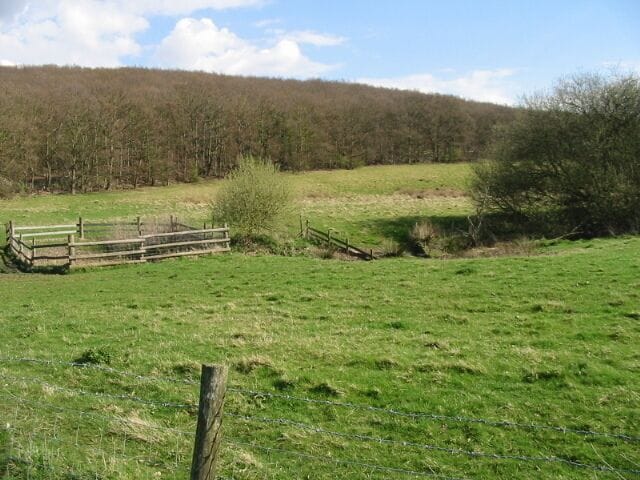 Fields and Blean Wood A small stream runs through the slight depression between the fields