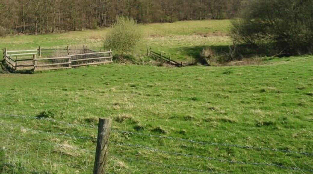 Fields and Blean Wood A small stream runs through the slight depression between the fields