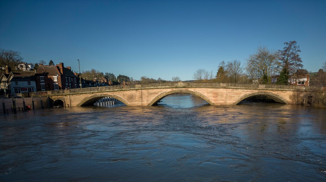 A stone bridge over a river with buildings on the left and trees on the right.