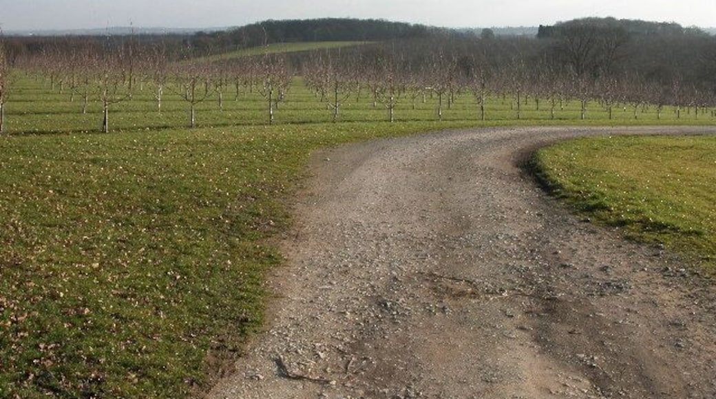 Orchards at Woodhouse Farm, near Oakeridge. Young fruit trees in a field beside the track to Woodhouse Farm.