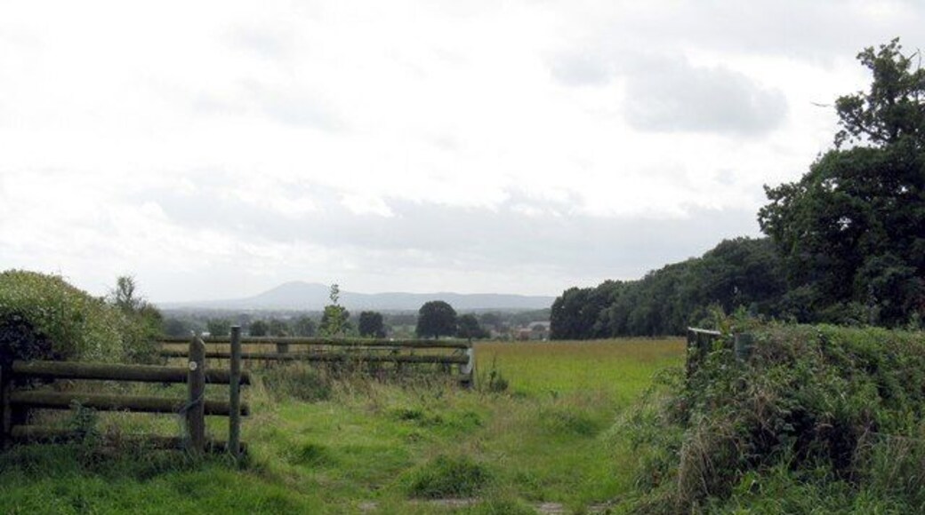 Muddy footpath Summer 2008 moves into autumn and it's still wet. Raindrops sparkle on the grass. In the distance, the Malvern Hills.