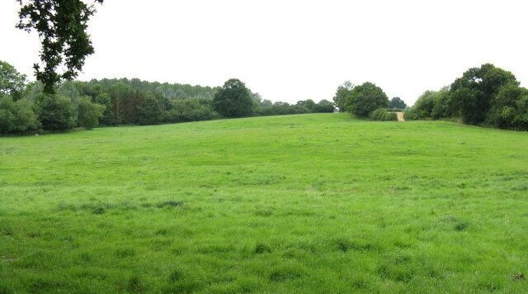 Field at rear of Wichenford Church