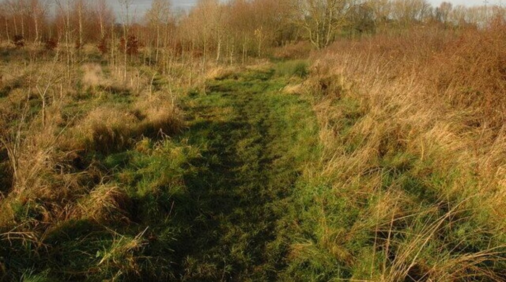 Stoulton Community Woodland Stoulton Community Woodland has been planted recently to the west of Windmill Farm near Stoulton.