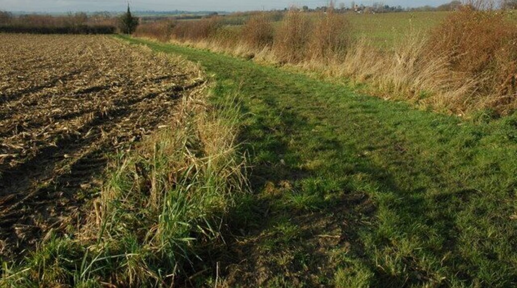Field headland at Windmill Farm A footpath follows this field headland from Windmill Farm to Hawbridge and Stoulton.