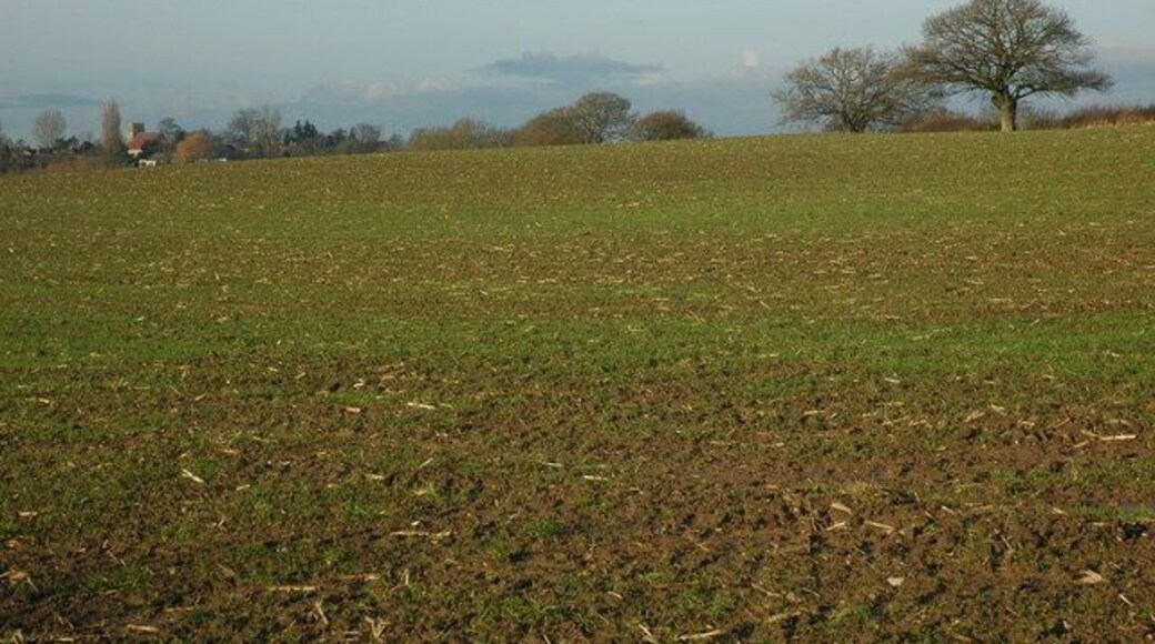 Arable field near Windmill Farm View across an arable field towards Stoulton church which is in the distance on the left.