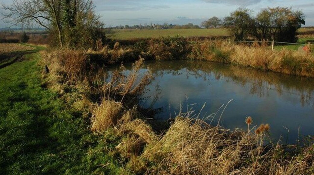Pond at Windmill Farm View across a pond and farmland towards Stoulton and its church which is just viaible.