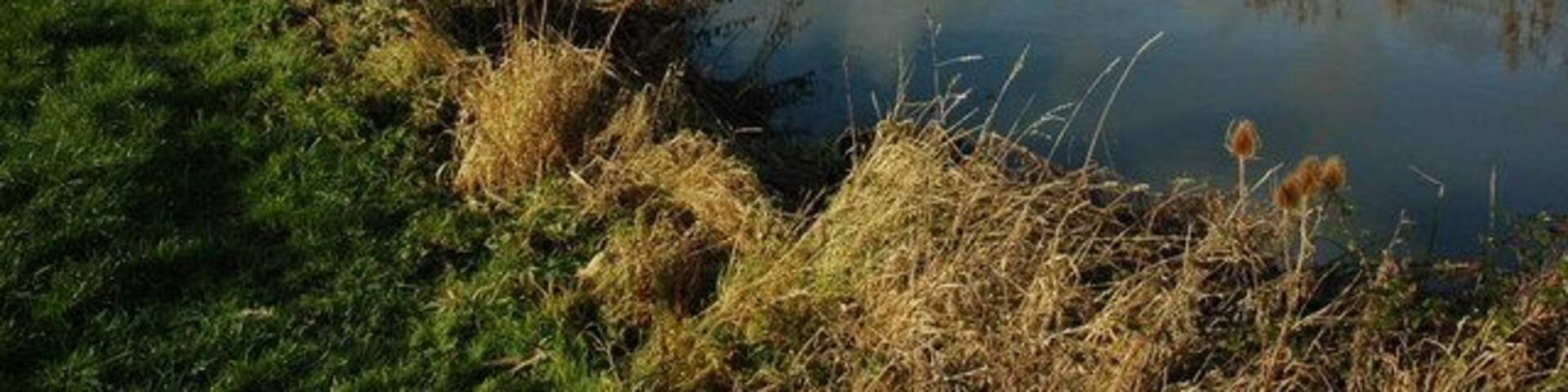 Pond at Windmill Farm View across a pond and farmland towards Stoulton and its church which is just viaible.