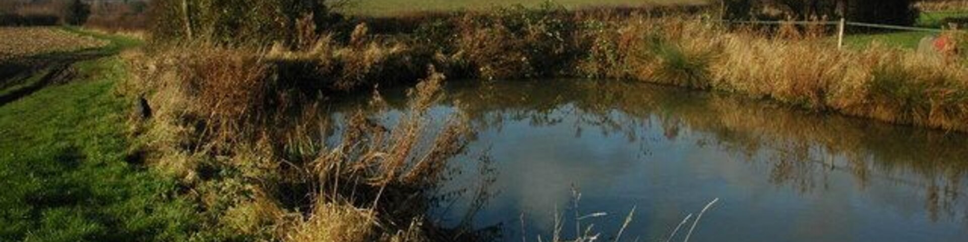 Pond at Windmill Farm View across a pond and farmland towards Stoulton and its church which is just viaible.