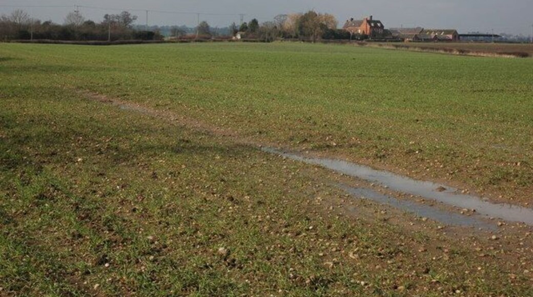 Field to the south-east of Wadborough Hill Farm Wadborough Hill Farm which is situated in the next grid square can be seen to the right of centre.