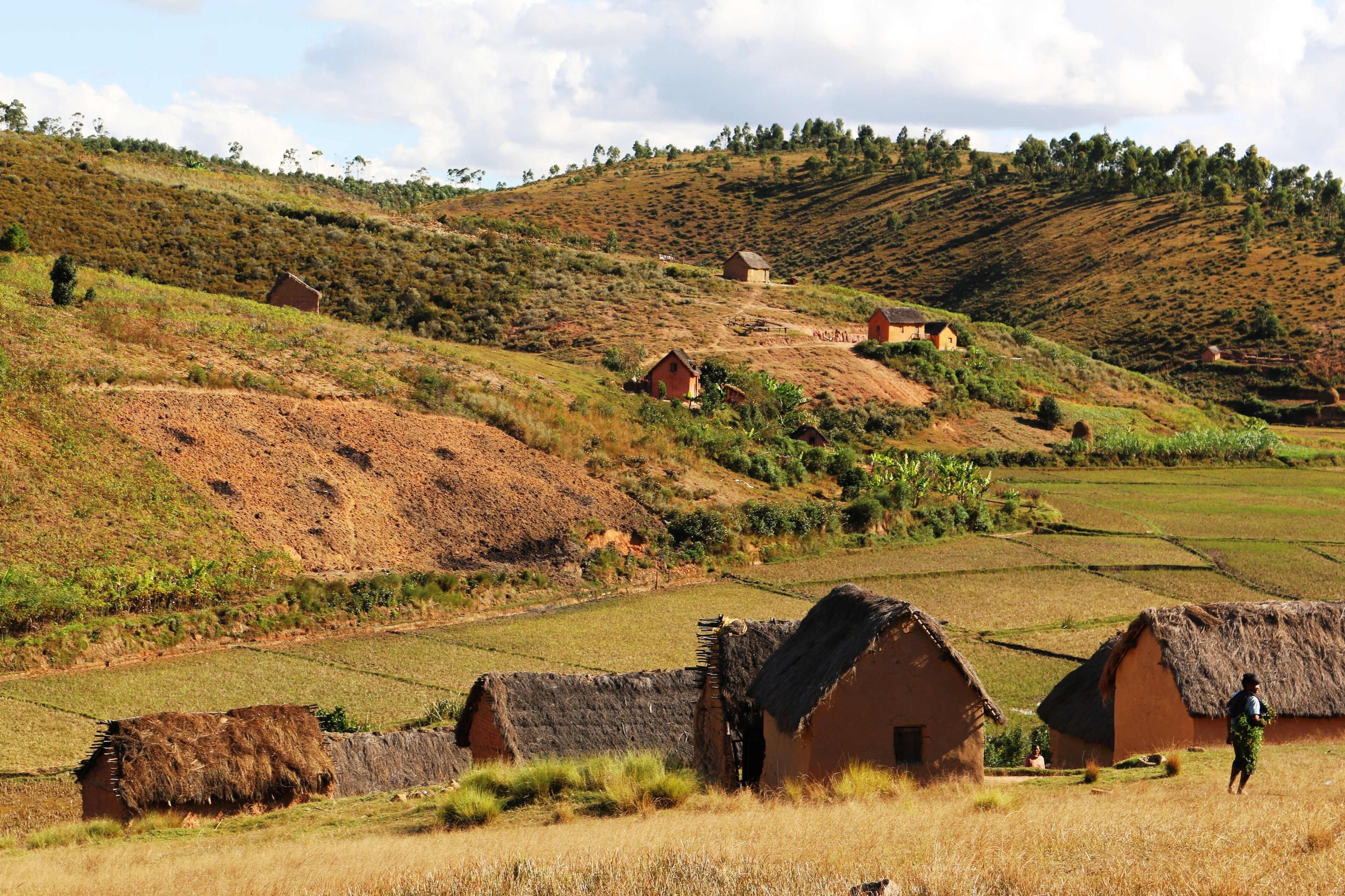 A rural landscape with terraced fields, thatched-roof houses, and rolling hills.