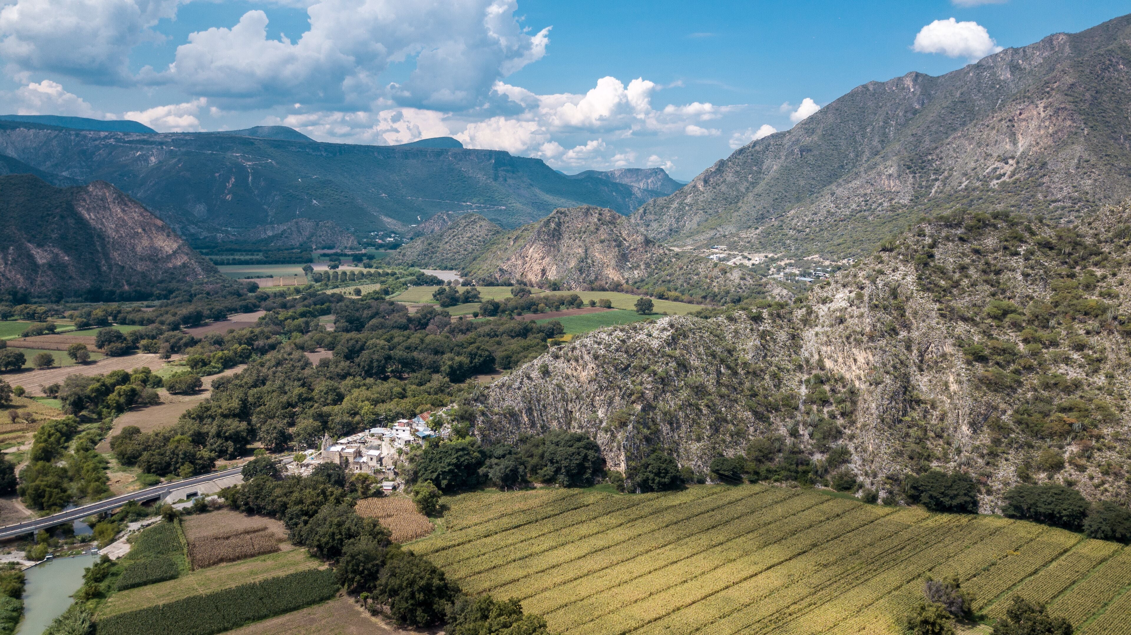 เมตซ์ติตแลน