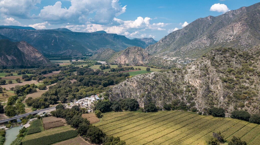 เมตซ์ติตแลน