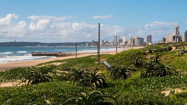 Plant Vegetation Growing on Dunes with Pier and Bluff in Background