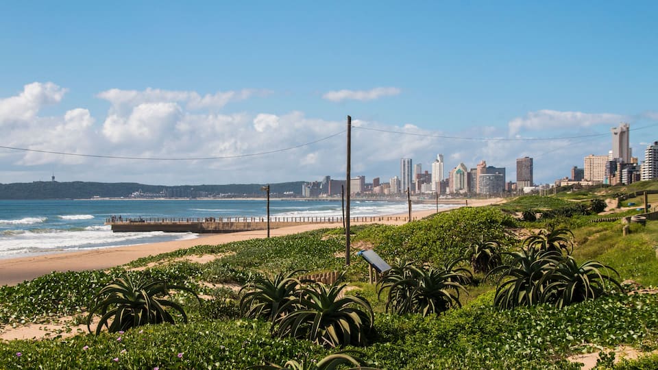 A coastal cityscape with a beach, palm trees, and a pier.