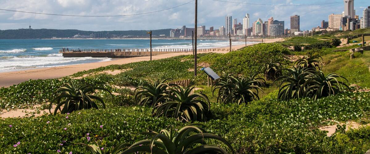 A coastal cityscape with a beach, palm trees, and a pier.