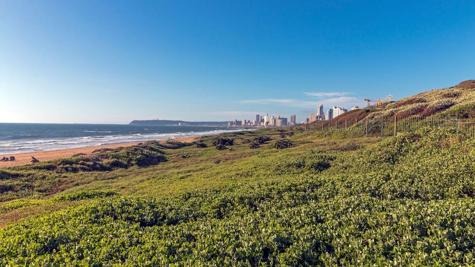 A coastal landscape with a beach, green vegetation, and a city skyline in the background.