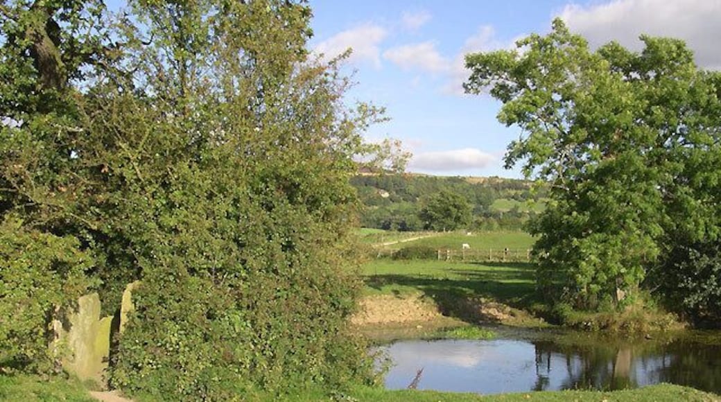 Pool in Grazing Land, near Bollington, Cheshire To continue along the public footpath, it is necessary to "sidle" between the standing stone slabs on the left of the picture.