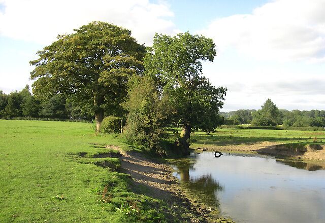 Grazing Land and Pool, near Bollington, Cheshire