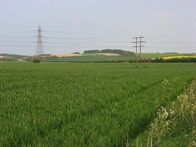 Farmland, Manningford Bruce This pretty much sums up the grid-square, which is almost entirely flat and arable.