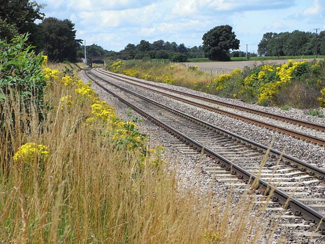 The railway, Manningford Bruce Viewed from one of the area's several pedestrian level crossings. Ragwort makes a colourful addition to the trackside.