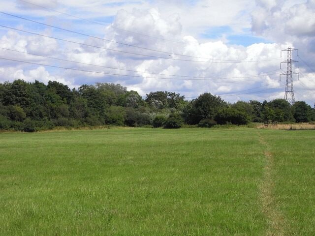 A green field with a power line tower and trees in the background.