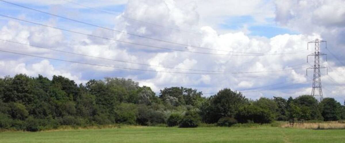 A green field with a power line tower and trees in the background.