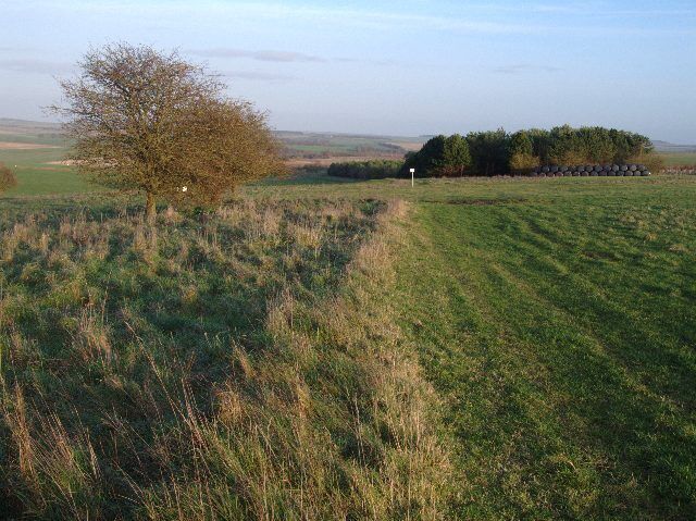 View east along bridleway