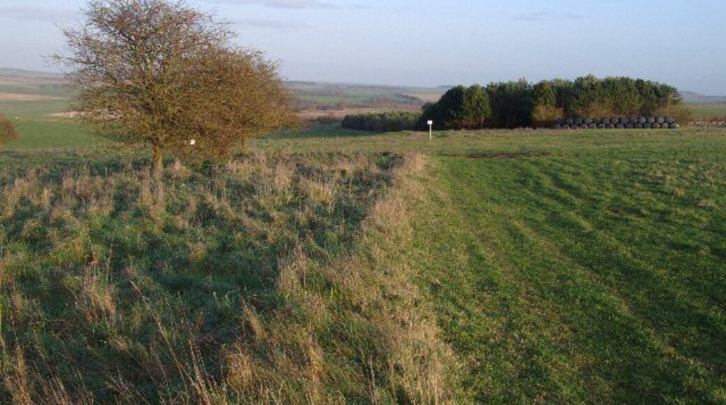 View east along bridleway