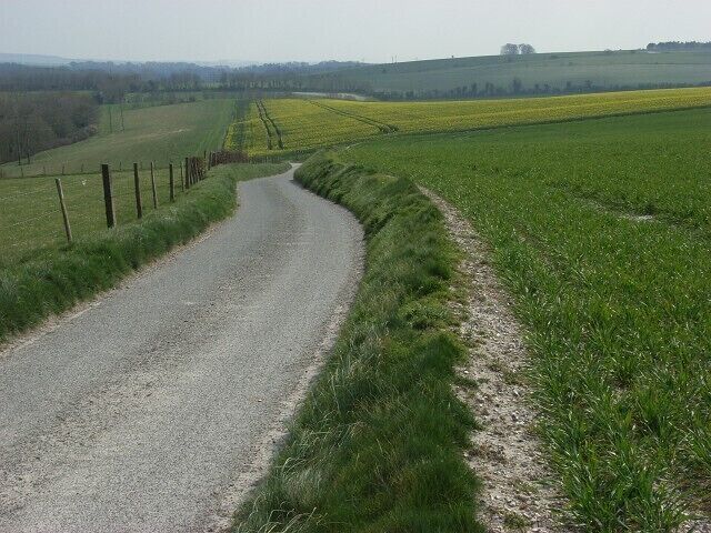 Lane and farmland, Enford Zigzagging stretch of the lane leading to Enford Farm.