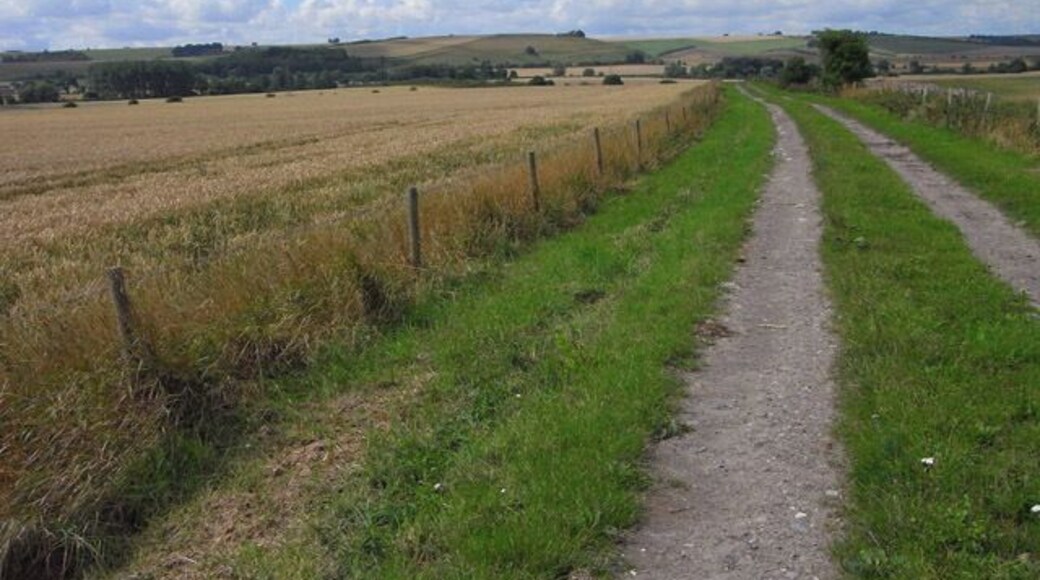 Bridleway, North Newnton The bridleway is part of the White Horse Trail, a route linking the White Horses of Wiltshire. The scarp of Salisbury Plain is in the background.