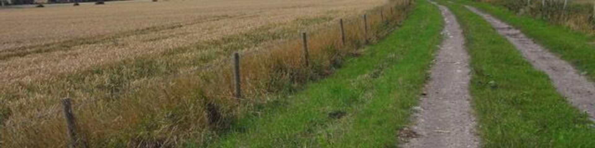 Bridleway, North Newnton The bridleway is part of the White Horse Trail, a route linking the White Horses of Wiltshire. The scarp of Salisbury Plain is in the background.