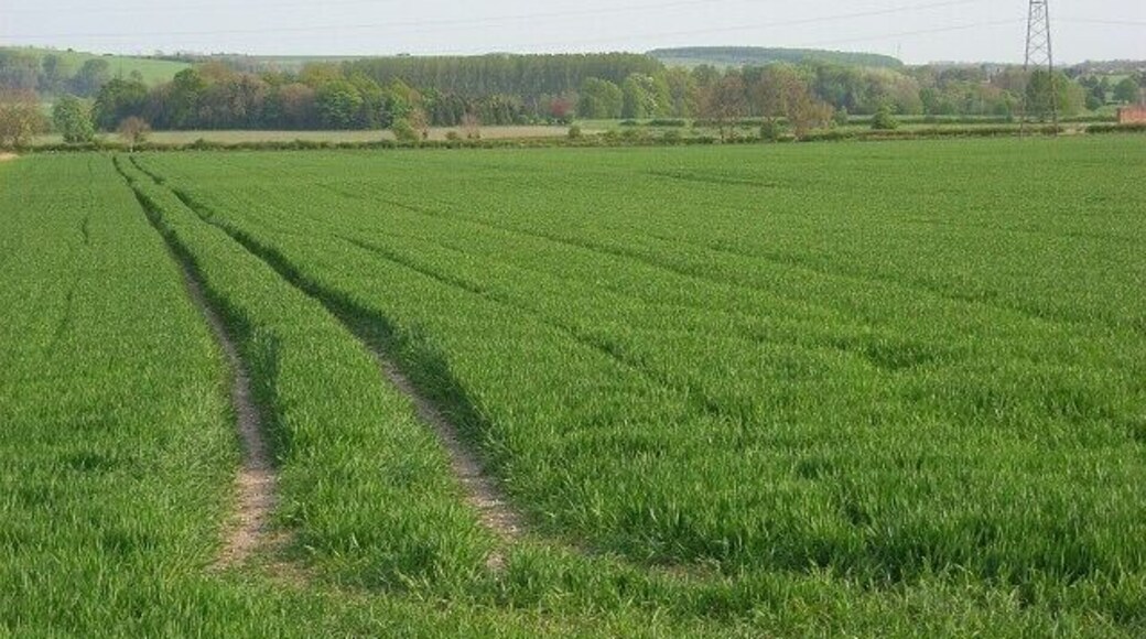 Farmland, North Newnton Looking down into the Avon valley from the bridleway above Falkner's Farm.