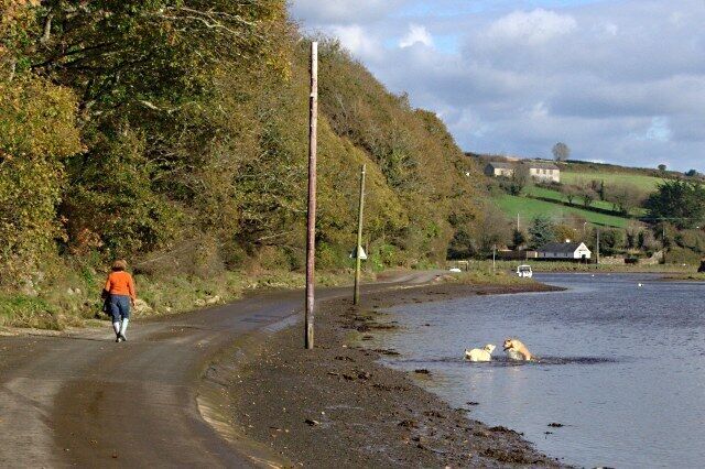 Tidal Road Tidal Road along the bank of the Avon Estuary. This is a popular place for a stroll - when it's not high tide.