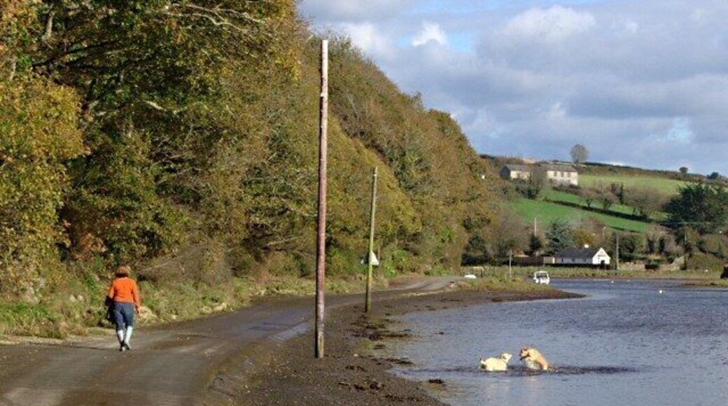 Tidal Road Tidal Road along the bank of the Avon Estuary. This is a popular place for a stroll - when it's not high tide.