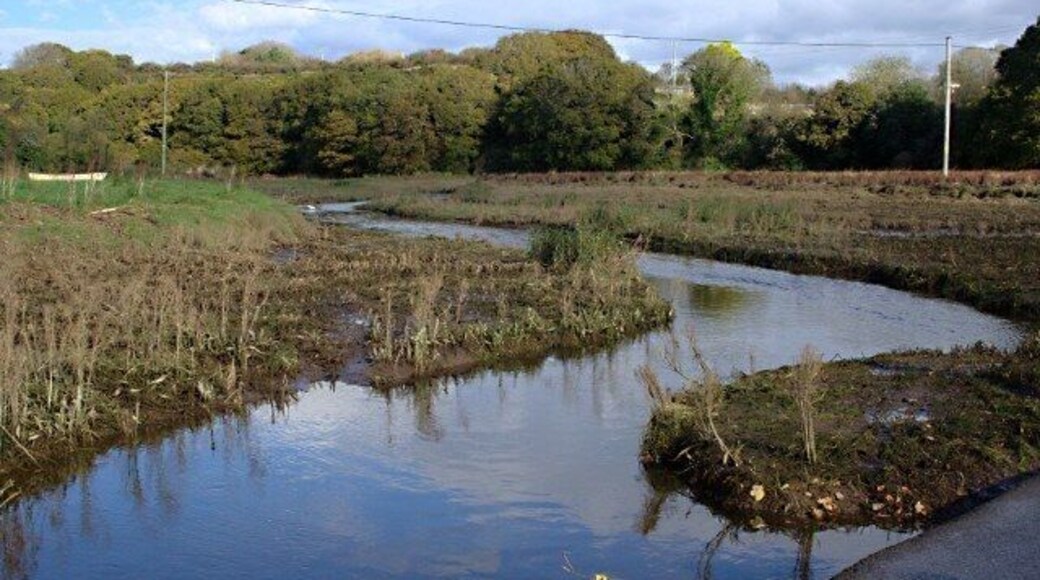 Tidal Creek near Aveton Gifford Taken from the tidal road which crosses the mouth of the creek.