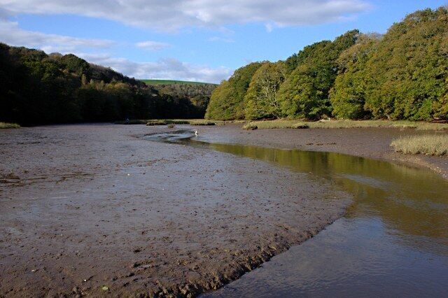 Creek near Milburn Orchard A tidal creek leading into the Avon Estuary. Taken from the Tidal Road at the mouth of the creek.