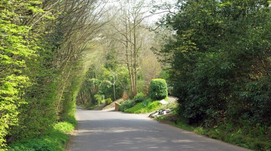 Swain Road, St Michaels Largish houses are spaced out on the south side of the road.