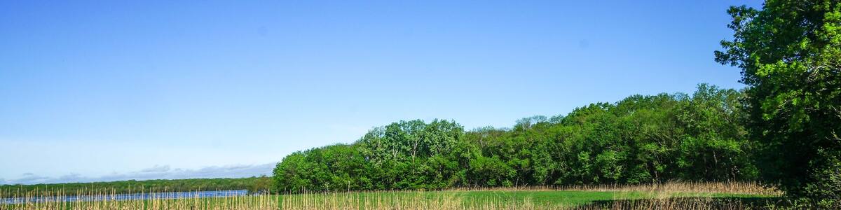 Marais des Cygnes National Wildlife Refuge grasses and lake