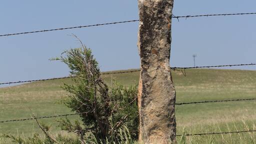 Stone post fence with green grass and blue sky with clouds north of Lucas Kansas USA out in the country.