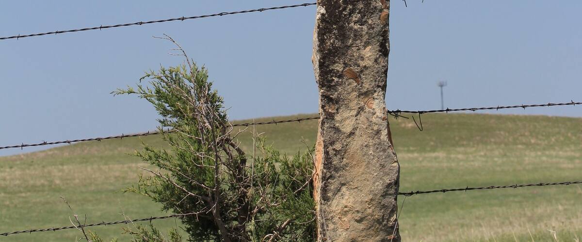 A barbed wire fence, a tall rock, and a grassy field under a clear sky.