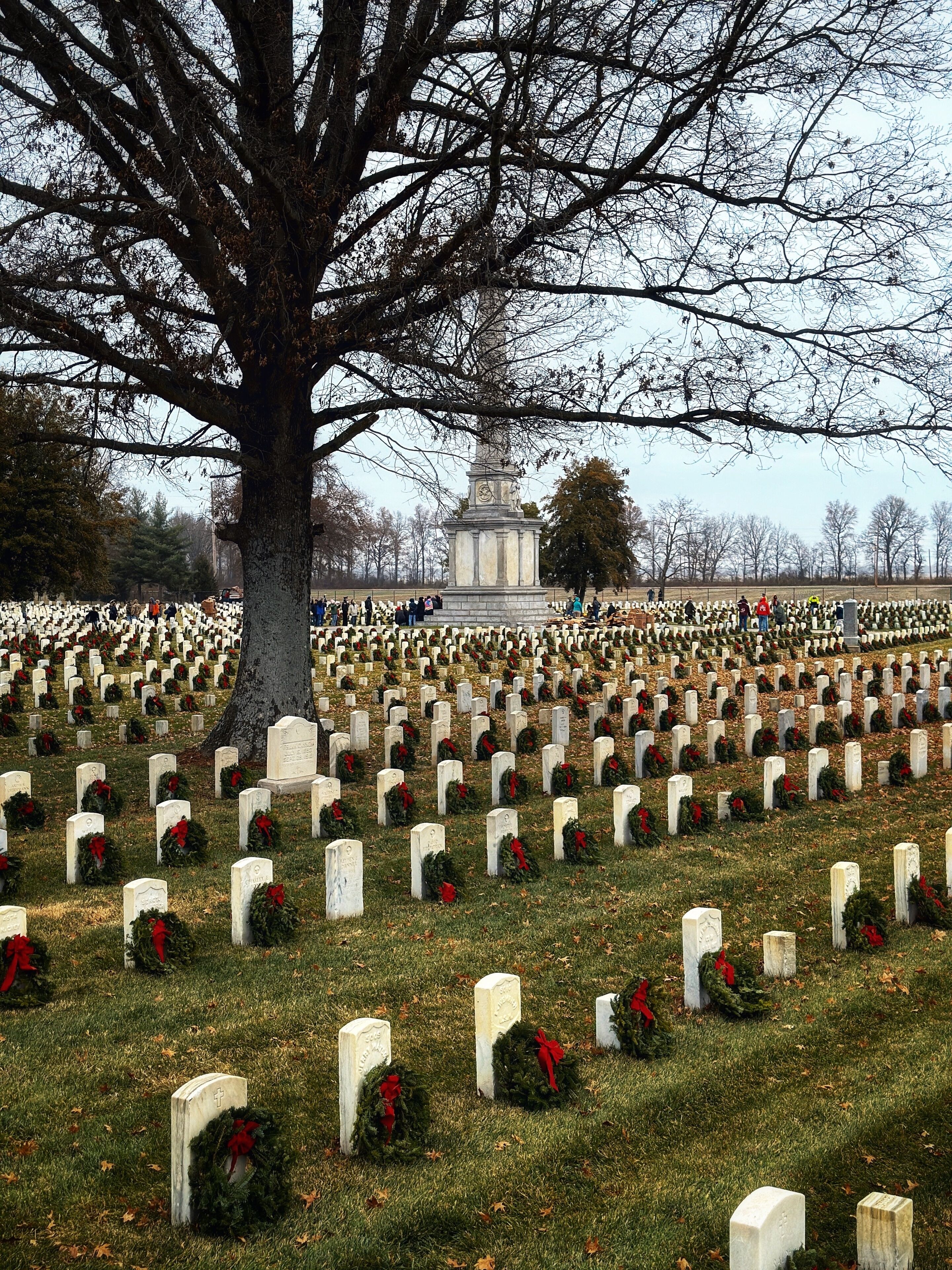 A cemetery with rows of white headstones, some adorned with red flowers and wreaths. A large tree stands prominently in the foreground, and a clock tower is visible in the background.