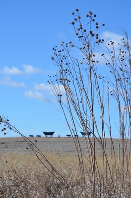 Life on the Prairie! This silhouette scene atop a hill in the middle of Kansas farm country proves that art really is all around us....you just have to look for it!