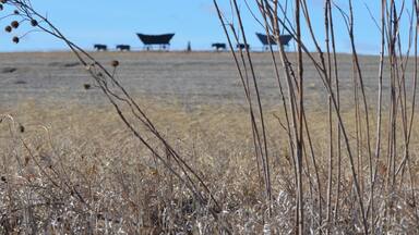 Life on the Prairie! This silhouette scene atop a hill in the middle of Kansas farm country proves that art really is all around us....you just have to look for it!