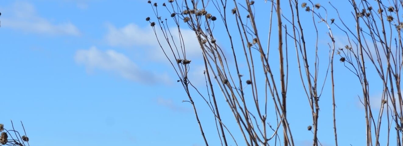 Life on the Prairie! This silhouette scene atop a hill in the middle of Kansas farm country proves that art really is all around us....you just have to look for it!