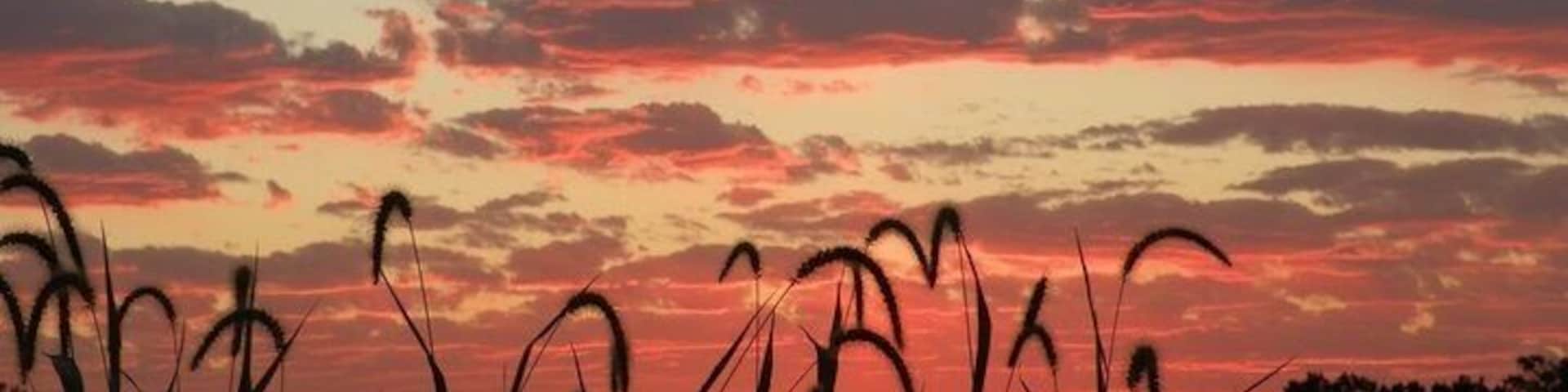 Native Kansas grass highlighted by the #GoldenHour. #WeekendGetaway