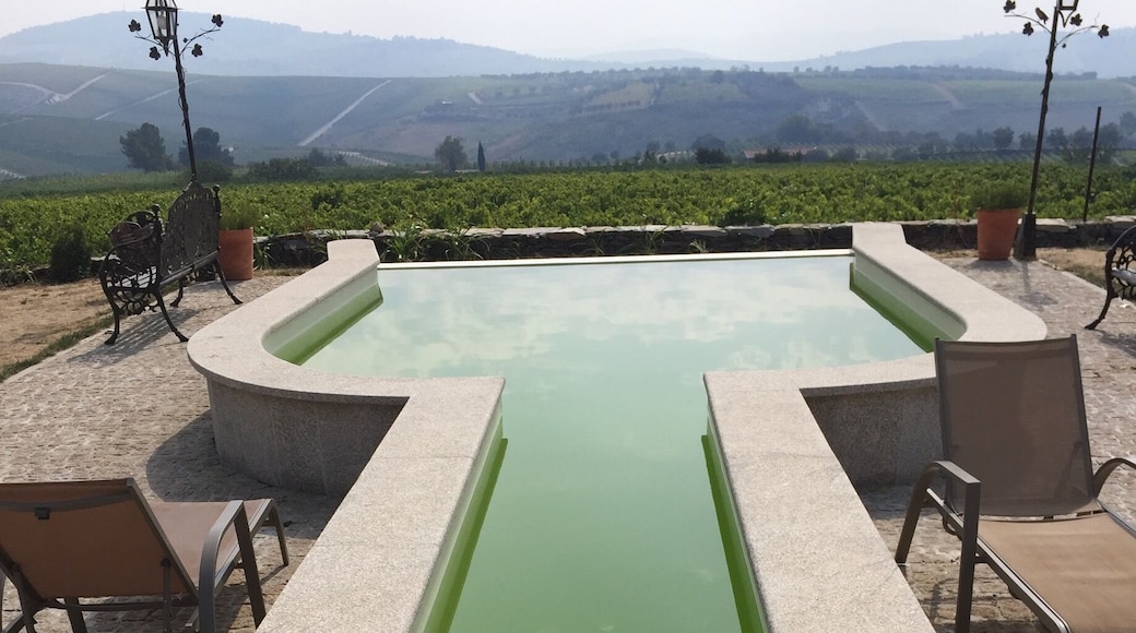 Unique wine and port vineyard in the Douro Valley