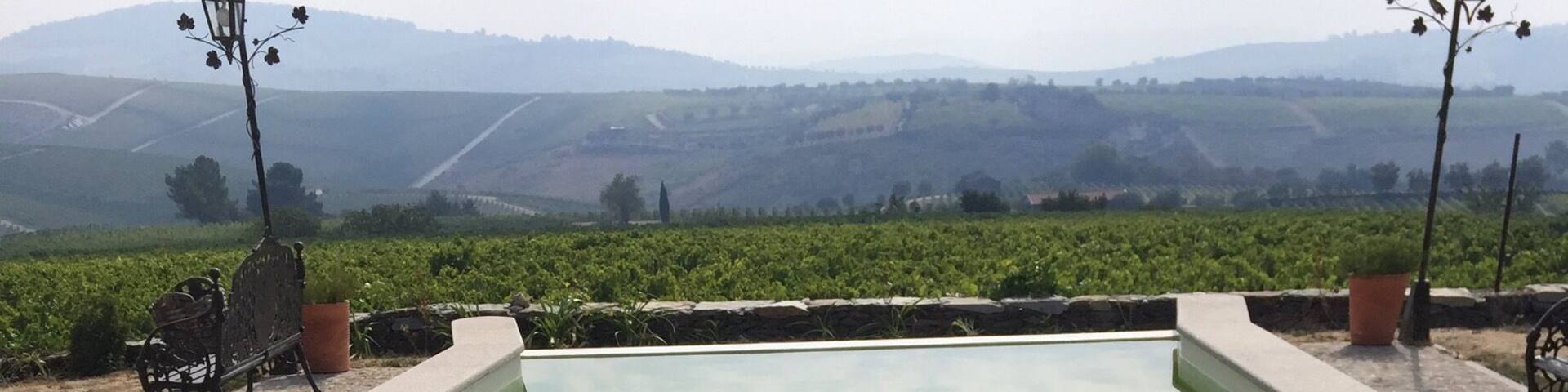 Unique wine and port vineyard in the Douro Valley