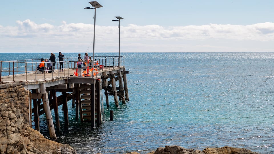 A pier extending into the water with people on it and solar street lamps.
