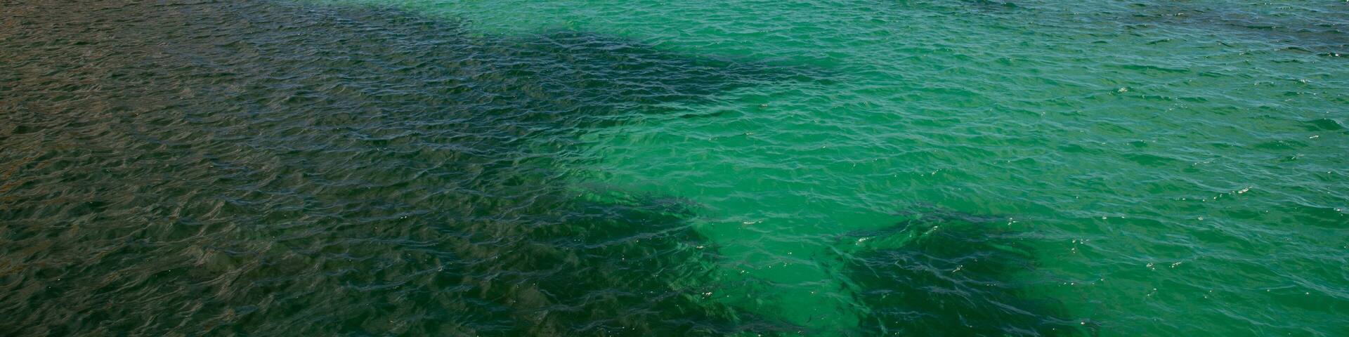Second Valley showing rocky coastline and general coastal views