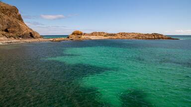 Second Valley showing rocky coastline and general coastal views